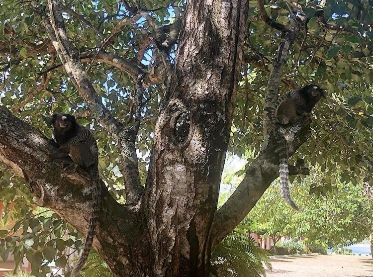 Pousada Pontal Do Lago Carmo do Rio Claro Zewnętrze zdjęcie